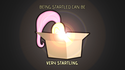Size: 1920x1080 | Tagged: safe, artist:clockwork65, character:fluttershy, species:pony, box, captain obvious, female, flutterbutt, hiding, lens flare, pony in a box, quote, solo, vector, wallpaper