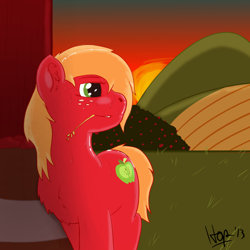 Size: 800x800 | Tagged: safe, artist:horseofpretense, character:big mcintosh, chest fluff, macareina, rule 63, solo, straw, sunset, sweat, sweet apple acres