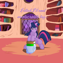 Size: 2500x2500 | Tagged: safe, artist:big-mac-a-brony, character:twilight sparkle, species:pony, bipedal, book, camping, female, golden oaks library, library, saddle bag, solo, standing