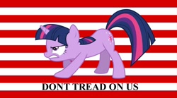 Size: 1296x720 | Tagged: dead source, safe, artist:jax5485, character:twilight sparkle, brony, female, flag, solo