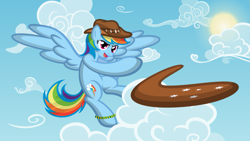 Size: 1191x670 | Tagged: safe, artist:dewlshock, character:rainbow dash, boomerang, clothing, female, hat, solo