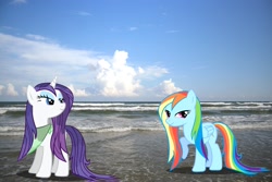 Size: 3456x2304 | Tagged: safe, artist:hachaosagent, character:rainbow dash, character:rarity, species:pony, beach, high res, irl, photo, ponies in real life, vector, wet, wet mane, wet mane rarity
