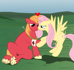 Size: 1340x1272 | Tagged: safe, artist:sotoco, character:big mcintosh, character:fluttershy, species:earth pony, species:pony, ship:fluttermac, bandage, blood, cropped, kissing, male, nose kiss, shipping, stallion, straight