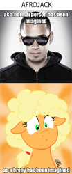 Size: 633x1515 | Tagged: safe, artist:the_gneech, character:applejack, afro, afrojack, comparison, duo, female, image macro, male, meme