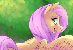 Size: 1344x938 | Tagged: safe, artist:risu-nya, character:fluttershy, species:pegasus, species:pony, bust, female, looking at you, looking back, looking back at you, mare, open mouth, rear view, smiling, solo, spread wings, wings