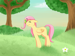 Size: 800x600 | Tagged: safe, artist:rosewhistle, character:fluttershy, female, filly, solo