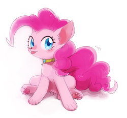 Size: 1000x926 | Tagged: safe, artist:nora1211, character:pinkie pie, species:dog, chest fluff, collar, cute, diapinkes, dogified, ear fluff, element of laughter, female, paws, puppy pie, simple background, sitting, solo, species swap, tongue out, underpaw, white background