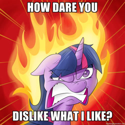 Size: 1024x1024 | Tagged: safe, artist:theimmolatedpoet, character:twilight sparkle, angry, female, fire, image macro, meme, opinion, solo