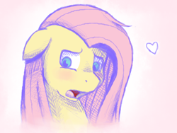 Size: 800x600 | Tagged: safe, artist:rosewhistle, character:fluttershy, species:pony, blushing, bust, female, floppy ears, heart, looking away, looking down, mare, open mouth, portrait, shy, simple background, solo, three quarter view, white background