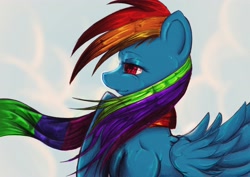 Size: 3508x2480 | Tagged: safe, artist:noideasfornicknames, character:rainbow dash, clothing, female, high res, scarf, solo