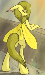 Size: 994x1650 | Tagged: safe, artist:newbluud, oc, oc only, oc:golden corral, species:mothpony, 3/4 view, original species, rearing
