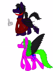 Size: 1944x2592 | Tagged: safe, artist:the dragon medic, oc, oc only, ponysona, unnamed oc, bangles, bat wings, clothing, colored wings, demon, dressed, duo, earring, horns, male, medic, multiple limbs, piercing, shirt, wings