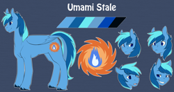 Size: 3000x1600 | Tagged: safe, artist:duskyamore, oc, oc only, oc:umami stale, cutie mark, expressions, male, reference sheet, solo
