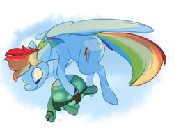Size: 936x702 | Tagged: safe, artist:tigs, character:rainbow dash, character:tank, episode:tanks for the memories, g4, my little pony: friendship is magic