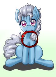 Size: 589x800 | Tagged: safe, artist:jurisalis, character:screw loose, species:pony, behaving like a dog, collar, cute, cuteloose, female, looking at you, mare, mouth hold, sitting, smiling, solo