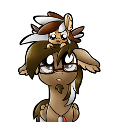 Size: 1024x1069 | Tagged: safe, artist:amberlea-draws, oc, oc only, oc:smores, oc:yoshi ringo, species:pegasus, species:pony, :3, :o, colored wings, colored wingtips, confused, cute, dog tags, ear fluff, floppy ears, goatee, looking up, male, open mouth, pony hat, simple background, size difference, smiling, stallion, tiny ponies, transparent background