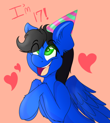 Size: 608x683 | Tagged: safe, artist:kittensneezikuns, oc, oc only, oc:sweet sound, species:pegasus, species:pony, birthday, birthday gift, clothing, cute, derp, ear fluff, happy, hat, heart, long mane, male, party hat, solo, text