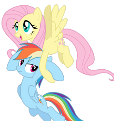 Size: 447x473 | Tagged: safe, artist:ahumeniy, character:fluttershy, character:rainbow dash, episode:may the best pet win, g4, my little pony: friendship is magic, .svg available, simple background, svg, transparent background, vector