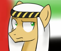 Size: 468x394 | Tagged: safe, artist:hetalianderpy, oc, oc only, nation ponies, headdress, keffiyeh, ponified, solo, united arab emirates