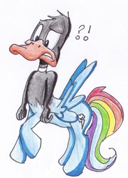 Size: 759x1054 | Tagged: safe, artist:yoshiyoshi700, character:rainbow dash, species:centaur, species:duck, species:pegasus, species:pony, awkward, confused, crossover, daffy duck, exclamation point, female, frown, fusion, hybrid, interrobang, looney tunes, not salmon, question mark, rainbow dash is a duck, rainbow duck, rearing, simple background, solo, spread wings, traditional art, wat, we have become one, what has science done, white background, wide eyes, wings