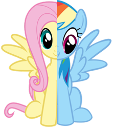 Size: 840x951 | Tagged: safe, artist:nejcrozi, character:fluttershy, character:rainbow dash, simple background, transparent background, two sides