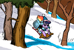 Size: 1400x955 | Tagged: safe, artist:the_gneech, character:rainbow dash, character:twilight sparkle, calvin and hobbes, sledding, snow