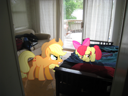 Size: 3264x2448 | Tagged: safe, artist:pangbot, character:apple bloom, character:applejack, species:pony, bed, couch, high res, irl, photo, ponies in real life, shadow, vector
