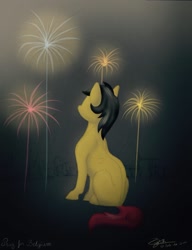Size: 1536x2002 | Tagged: safe, artist:perle-de-suie, nation ponies, belgium, fireworks, ponified, solo