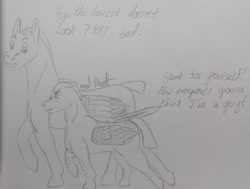 Size: 3961x2987 | Tagged: safe, artist:gabriel-titanfeather, oc, oc only, oc:comet chaser, oc:pale blood, species:pegasus, species:pony, duo, monochrome, pencil drawing, traditional art