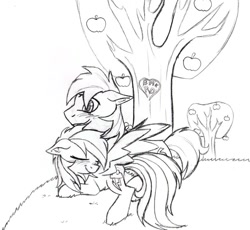 Size: 800x737 | Tagged: safe, artist:tomcolt15, character:big mcintosh, character:rainbow dash, species:earth pony, species:pony, ship:rainbowmac, black and white, blushing, grayscale, male, monochrome, shipping, snuggling, stallion, straight