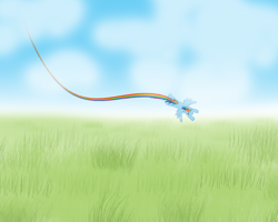 Size: 1280x1024 | Tagged: safe, artist:inkblu, character:rainbow dash, female, grass field, solo