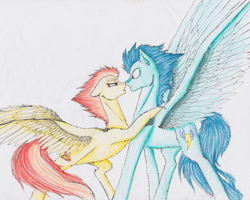 Size: 1130x904 | Tagged: safe, artist:penrosa, character:soarin', character:spitfire, species:pony, ship:soarinfire, female, male, old cutie mark, shipping, simple background, straight, traditional art, wingboner