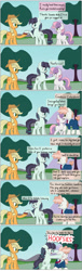 Size: 850x2801 | Tagged: safe, artist:vanillaghosties, character:applejack, character:coloratura, character:svengallop, character:sweetie belle, comic, hoofsies, punch, rara