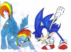 Size: 861x636 | Tagged: safe, artist:gojira007, character:rainbow dash, character:sonic the hedgehog, crossover, sonic the hedgehog (series), traditional art