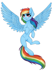 Size: 1936x2592 | Tagged: safe, artist:hayley1432, character:rainbow dash, belly button, female, flying, simple background, solo, transparent background