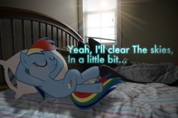 Size: 2464x1632 | Tagged: safe, artist:oppositebros, character:rainbow dash, species:pony, bed, irl, photo, ponies in real life, vector