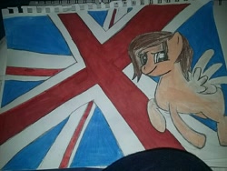 Size: 800x600 | Tagged: safe, artist:milo(german), oc, oc only, oc:milo, species:pegasus, species:pony, flag, flying, smiling, solo, spread wings, traditional art, union jack, wings