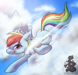 Size: 800x772 | Tagged: safe, artist:chubby-kirin, character:rainbow dash, species:pegasus, species:pony, cloud, cloudy, female, flying, mare, sky, smiling, smirk, solo, trail, wings