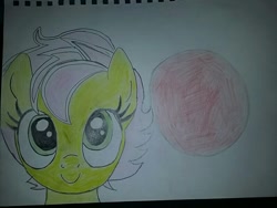 Size: 800x600 | Tagged: safe, artist:milo(german), oc, oc only, oc:beauty cheat, species:pegasus, species:pony, flag, rising sun, solo, traditional art