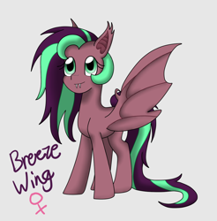 Size: 1024x1041 | Tagged: safe, artist:rosequartz1, oc, oc only, oc:breeze wing, parent:big macintosh, parent:fluttershy, parents:fluttermac, species:pony, cute, cute little fangs, fangs, female, gray background, mare, offspring, simple background, solo, spread wings, vampony, wings