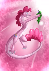 Size: 896x1300 | Tagged: safe, artist:weirdofish, character:gummy, character:pinkie pie, species:dragon, dragonified, pink background, pinkiedragon, simple background, species swap