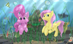 Size: 2541x1545 | Tagged: safe, artist:skyresonance, character:fluttershy, character:pinkie pie, species:pony, bubble, coral, duo, fish, looking at you, oyster, puffy cheeks, seaweed, underwater