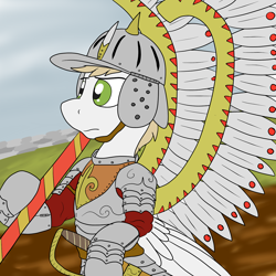 Size: 1280x1280 | Tagged: safe, artist:undercoverpone, oc, oc only, species:pegasus, species:pony, armor, hussar, male, poland, stallion, winged hussar