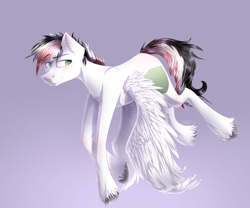 Size: 3000x2500 | Tagged: safe, artist:wacky-skiff, oc, oc only, species:pegasus, species:pony, colored pupils, ear fluff, flying, gradient background, male, purple background, solo, stallion, unshorn fetlocks, wing fluff