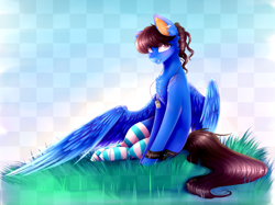 Size: 3161x2366 | Tagged: safe, artist:magicalbrownie, oc, oc only, oc:sonica, species:pegasus, species:pony, art trade, chest fluff, clothing, dog tags, eyelashes, female, high res, mare, smiling, socks, solo, stockings, striped socks, thigh highs