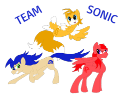 Size: 1024x775 | Tagged: safe, artist:spqr21, character:sonic the hedgehog, species:pony, deviantart muro, knuckles the echidna, miles "tails" prower, ponified, simple background, sonic the hedgehog (series), transparent background