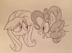 Size: 2809x2066 | Tagged: safe, artist:sparkarez, character:fluttershy, character:pinkie pie, species:earth pony, species:pegasus, species:pony, bust, duo, eye contact, floppy ears, frown, kinetic contrast, looking at each other, monochrome, portrait, sad, smiling, tongue out, traditional art, unamused