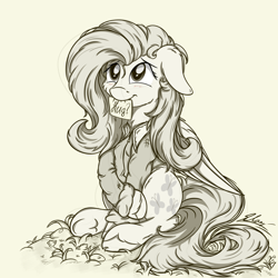 Size: 3024x3024 | Tagged: safe, artist:check3256, character:fluttershy, clothing, cute, female, floppy ears, hug request, hugs?, jacket, looking up, monochrome, mouth hold, note, shyabetes, sign, sitting, smiling, solo