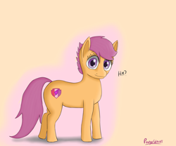 Size: 1800x1500 | Tagged: safe, artist:ponyxwright, character:scootaloo, species:earth pony, species:pony, cutie mark, earth pony scootaloo, female, looking at you, race swap, solo