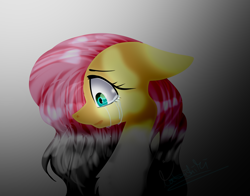 Size: 900x705 | Tagged: safe, artist:katzishiki, character:fluttershy, species:pony, bust, crying, discorded, female, portrait, solo
